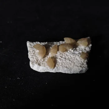 13.6 gNatural ryžių kalcitas, gipso intergrowth mineralinių kristalų egzemplioriai