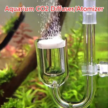 1Set Akvariumą CO2 Difuzorius Stiklo Burbulas Bakas Verstuiver Reaktoriaus CO2 Generatorius