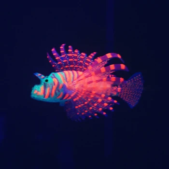 Akvariumas Dirbtinis Spalvinga Žėrintis Žuvų Papuošalai Silikono Lionfish Plūduriuojantis Papuošalai Papuošalų už Žuvų Bakas Akvariumas